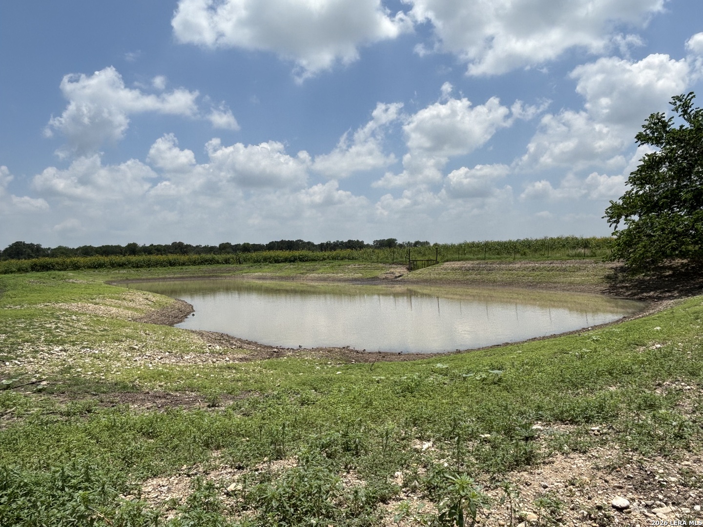 Land in Cibolo 4
