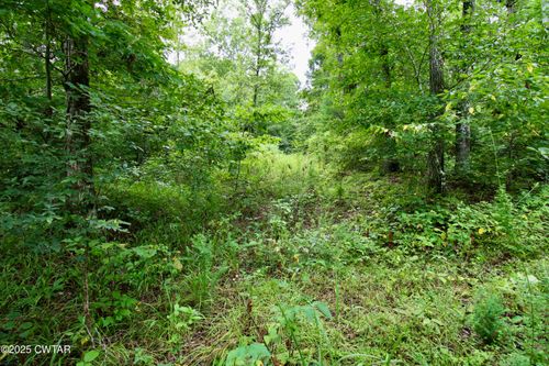 1124 Lick Creek Boat Dock Loop, Parsons, TN, 38363 | Card Image