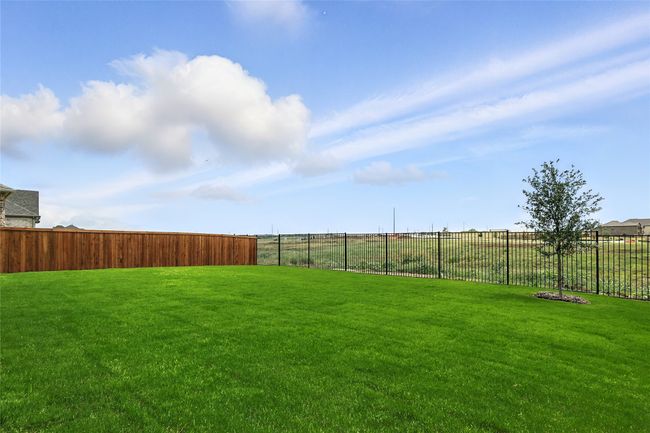 View of yard | Image 26