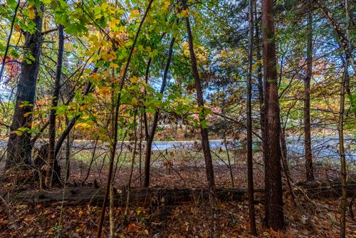 TBD Harbor Landing Dr, Moneta, VA, 24121 | Card Image