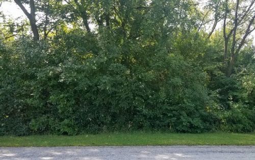 91 E 227th Pl, Steger, IL, 60475 | Card Image