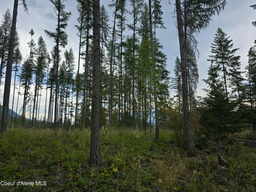 NNA Bonner St, Bonners Ferry, ID, 83805 | Card Image