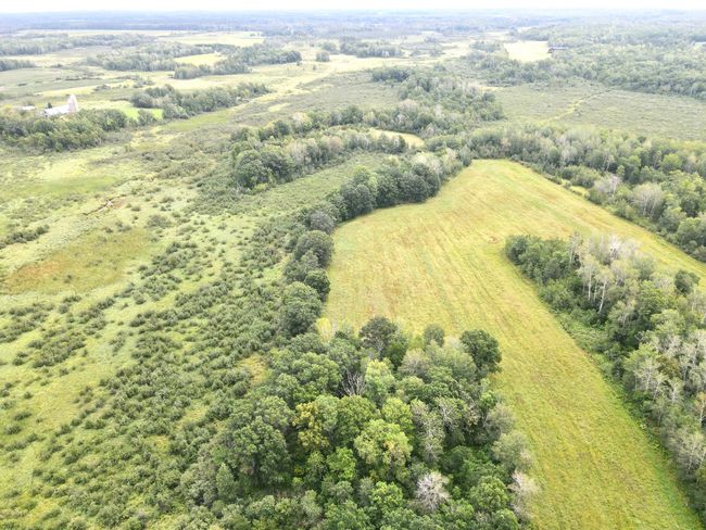 dji_fly_20240822_104732_577_1724341799657_photo.jpeg | Image 5