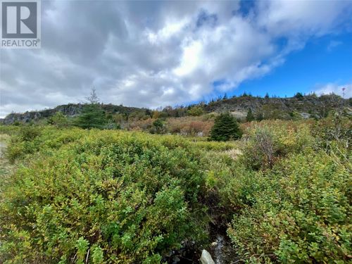 6-8 Old Road N, Salmon Cove, NL, A0A3S0 | Card Image