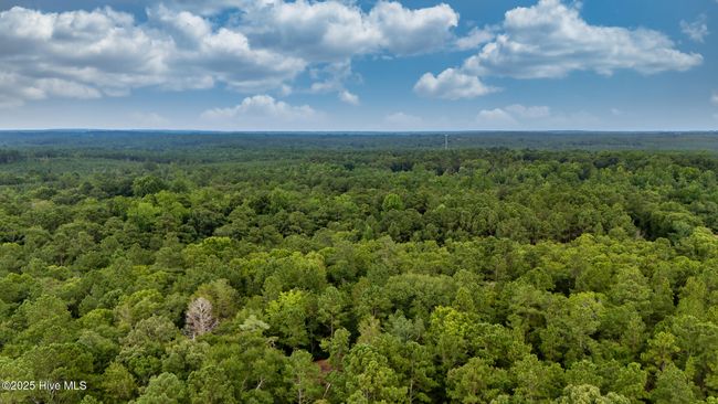 2 - 2099 Carthage Rd, Home with 0 bedrooms, 0 bathrooms and null parking in West End NC | Image 16