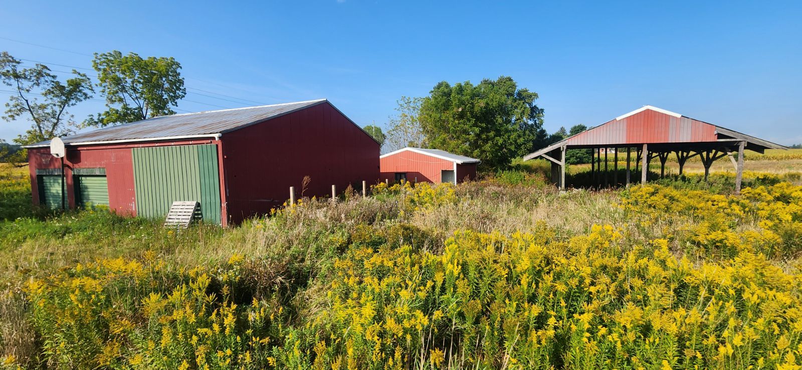 Wellman Line Rd, Brown City, MI 48416