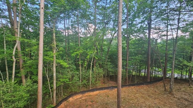 135 Fischer Trl, Home with 3 bedrooms, 2 bathrooms and null parking in Ellijay GA | Image 15