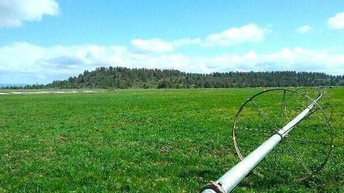 295 County Road 149, Lookout, CA, 96054 | Card Image