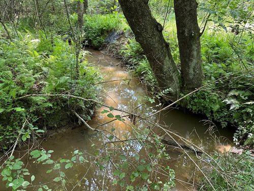 Lot 30 Fairview Dr, Morganton, GA, 30560 | Card Image