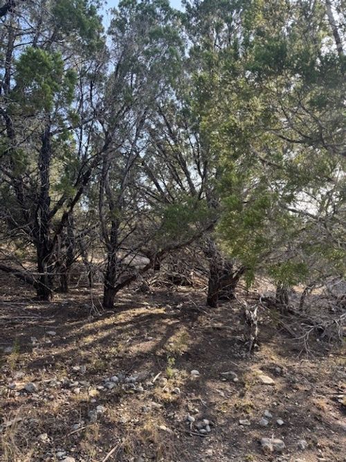 20003 Continental Cv, Lago Vista, TX, 78645 | Card Image