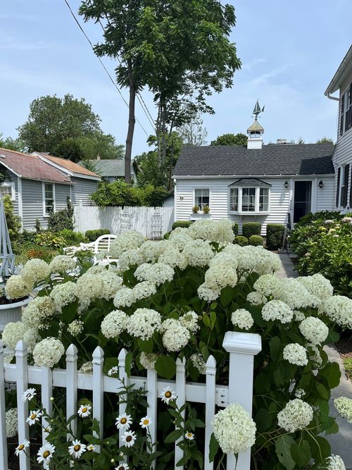 apt-8-7 Pratt St, Essex, CT, 06426-1169 | Card Image
