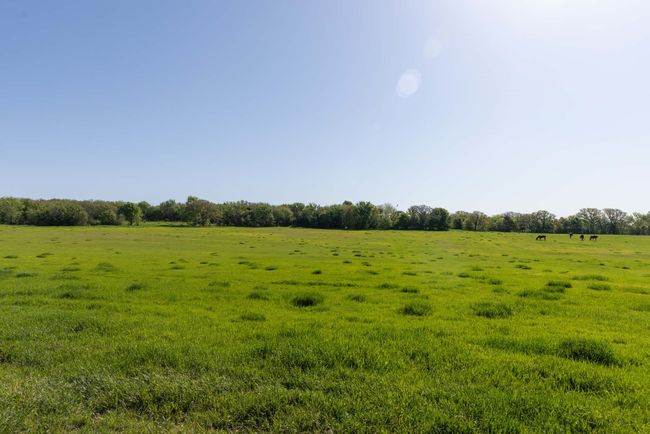 1346 Prairie Grove Rd, Home with 0 bedrooms, 0 bathrooms and null parking in Valley View TX | Image 28