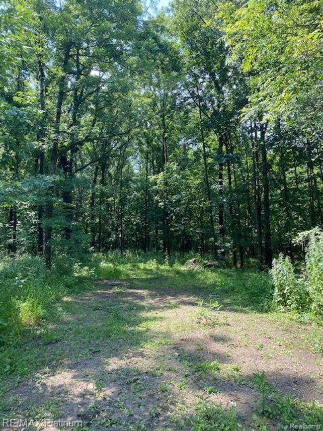 6 Sleaford Parcel 6   2.1 Acres Road, Home with 0 bedrooms, 0 bathrooms and null parking in Howell Township MI | Image 41