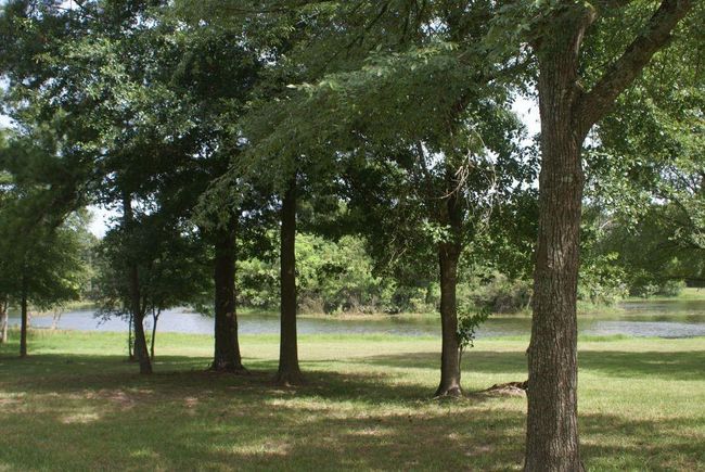 1935 Ryansbrook Ln, House other with 4 bedrooms, 2 bathrooms and 2 parking in Spring TX | Image 26