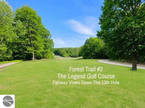 2 Forest Trl, Bellaire, MI, 49615 | Card Image
