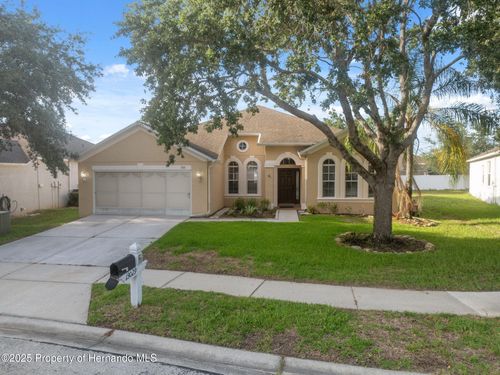 13029 Haverhill Dr, SPRING HILL, FL, 34609-0641 | Card Image