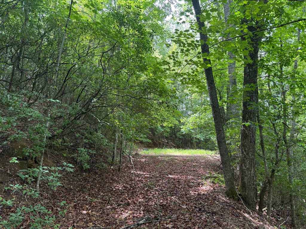 Land in Franklin 3