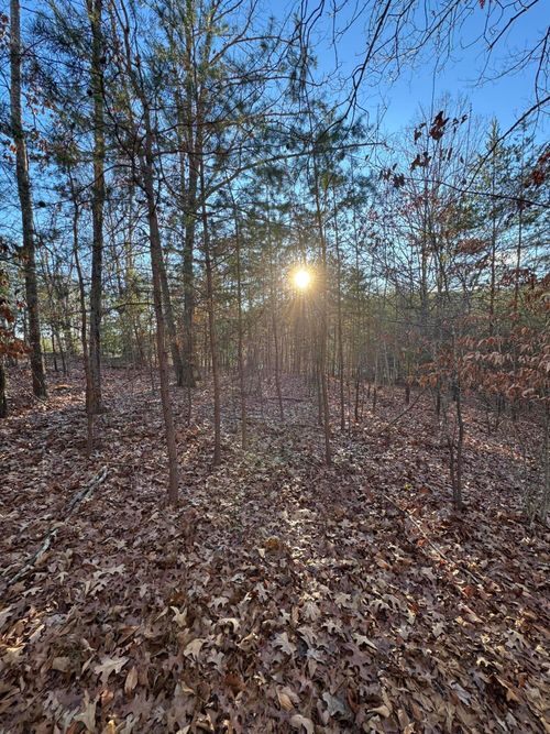 Lot 49 Garrison Ridge, Pittsville, VA, 24139 | Card Image