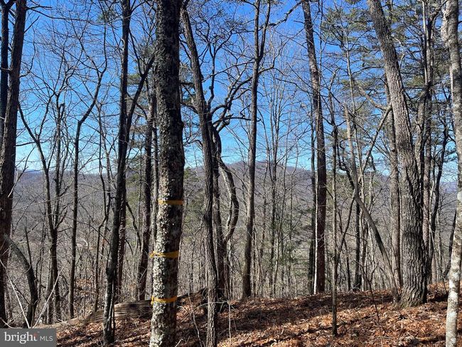 0 Bear Cove Rd, Home with 0 bedrooms, 0 bathrooms and null parking in Bryson City NC | Image 6