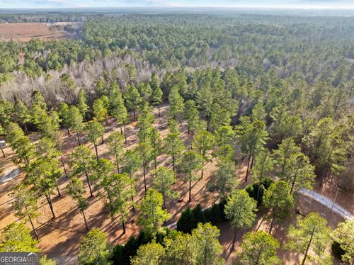 0 Twin Forks Rd, Pembroke, GA, 31321 | Card Image