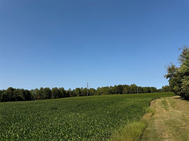 50 Hopewell Church Rd, Home with 3 bedrooms, 2 bathrooms and null parking in Fordsville KY | Image 13