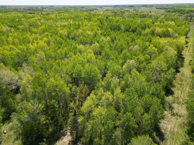 6920 Reed Ln, Home with 0 bedrooms, 0 bathrooms and null parking in Kettle River MN | Image 14
