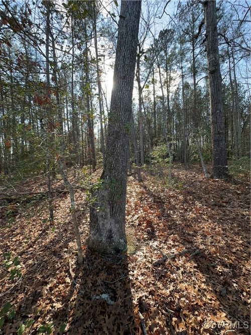 Lot 3 Mill Quarter Rd, Ford, VA, 23850 | Card Image