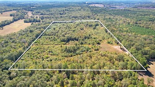 TBD Cr 3201 Whitmore Rd, Omaha, TX, 75571 | Card Image