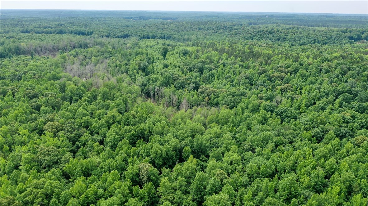 Land in Waverly 5