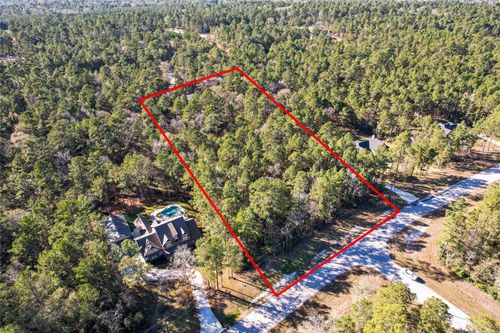 160 Brahman Ln, New Waverly, TX, 77358 | Card Image