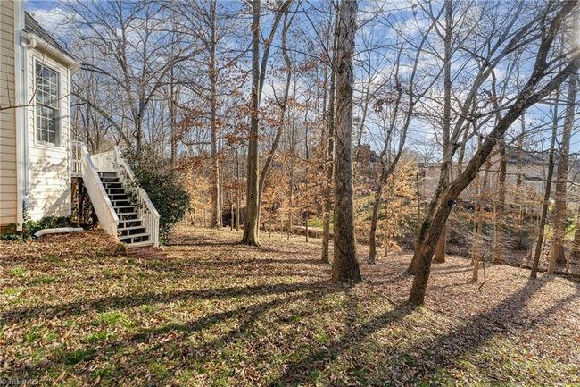 Wooded Backyard | Image 41