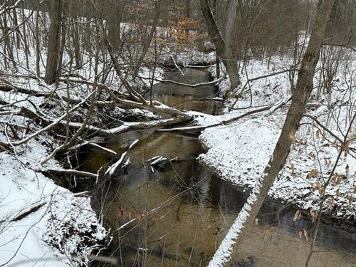 V/L M-37, South Branch Township, MI, 49638 | Card Image