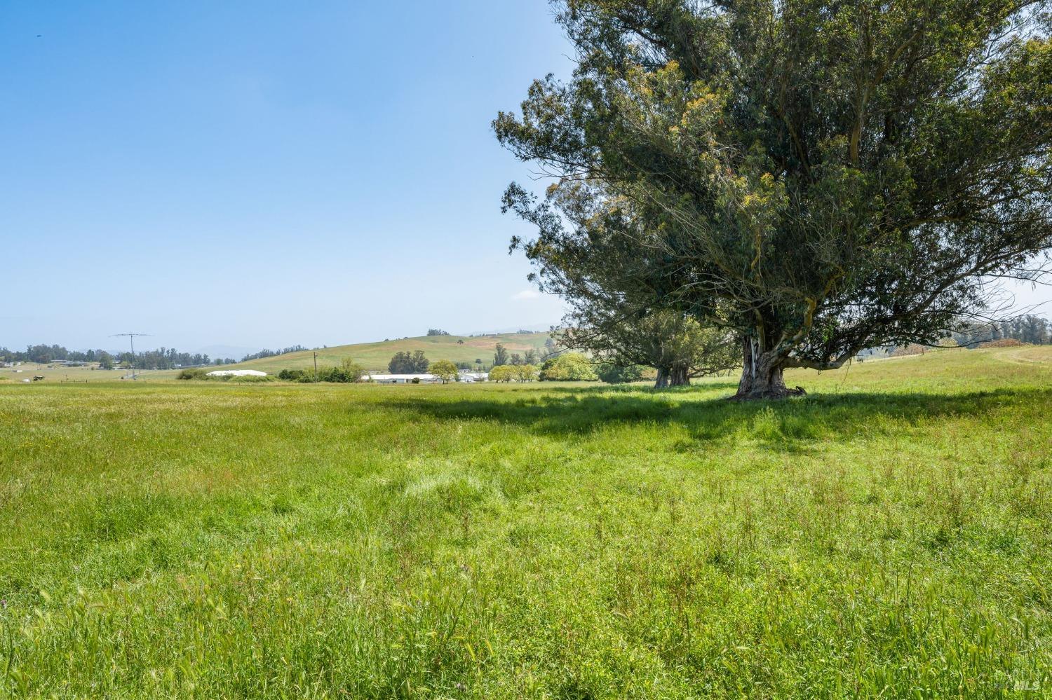 Land in Petaluma 5