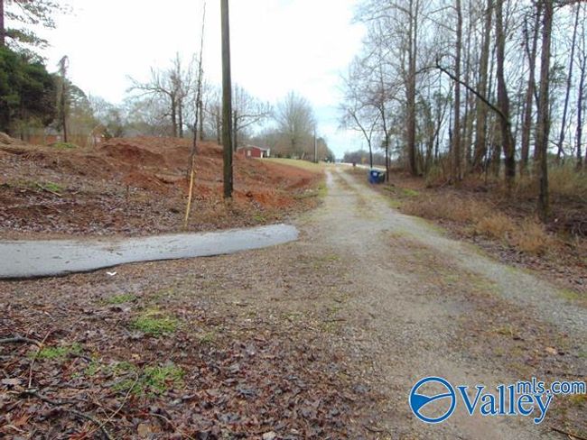 7 acres Carters Gin Rd, Home with 0 bedrooms, 0 bathrooms and null parking in Toney AL | Image 11