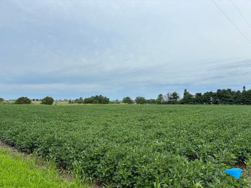 3355 County Road 400 E Road, Fisher, IL, 61843 | Card Image