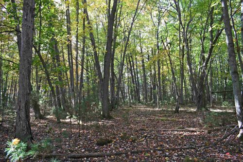 1 Rainbow Dr, East Tawas, MI, 48730 | Card Image