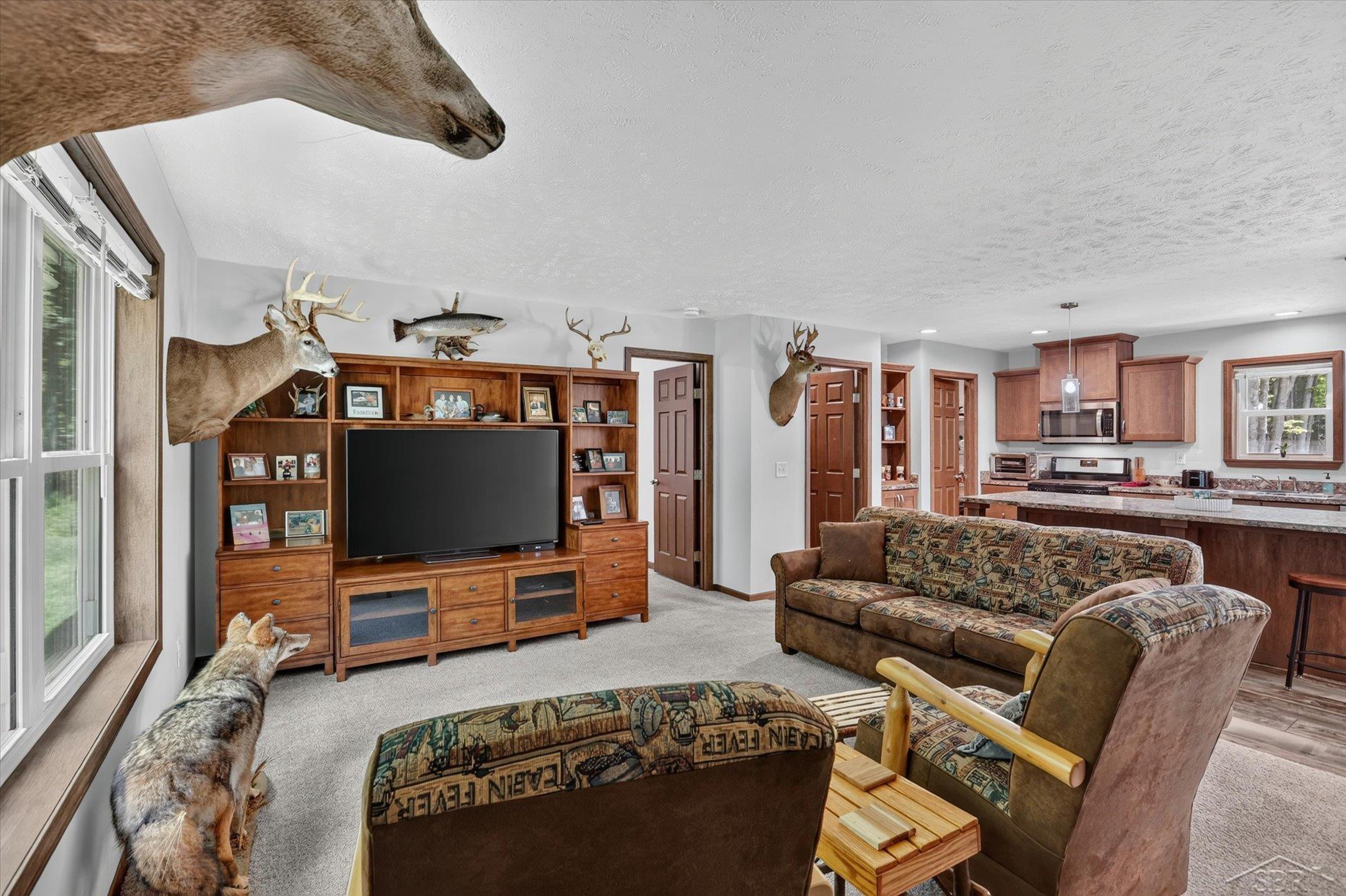 Residential in Mills Township 5