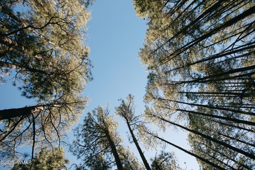 5512 Quail Run Dr, Pinedale, AZ, 85934 | Card Image