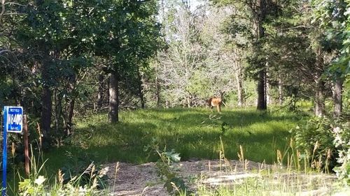 W8408 Elk Ave, Oxford, WI, 53952 | Card Image