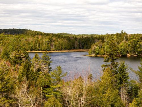 Map 12 Lot #7-A, Whiting, ME, 04691 | Card Image
