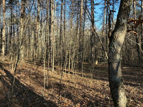 250 Timber Ridge; Lot 3 Drive, Kimball, TN, 37347 | Card Image