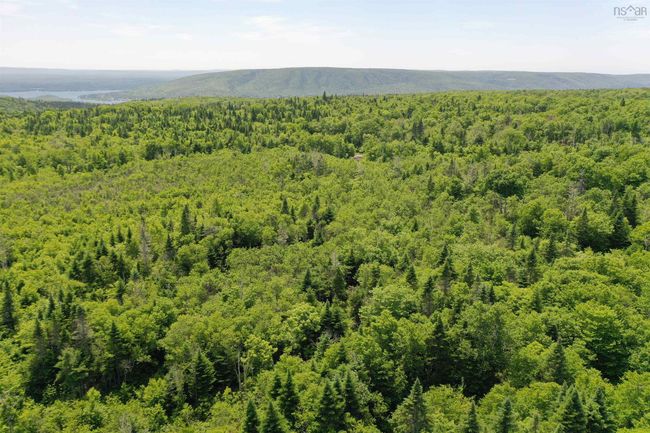 1138 Whycocomagh Mountain Rd, Home with 0 bedrooms, 0 bathrooms and null parking in Whycocomagh NS | Image 22