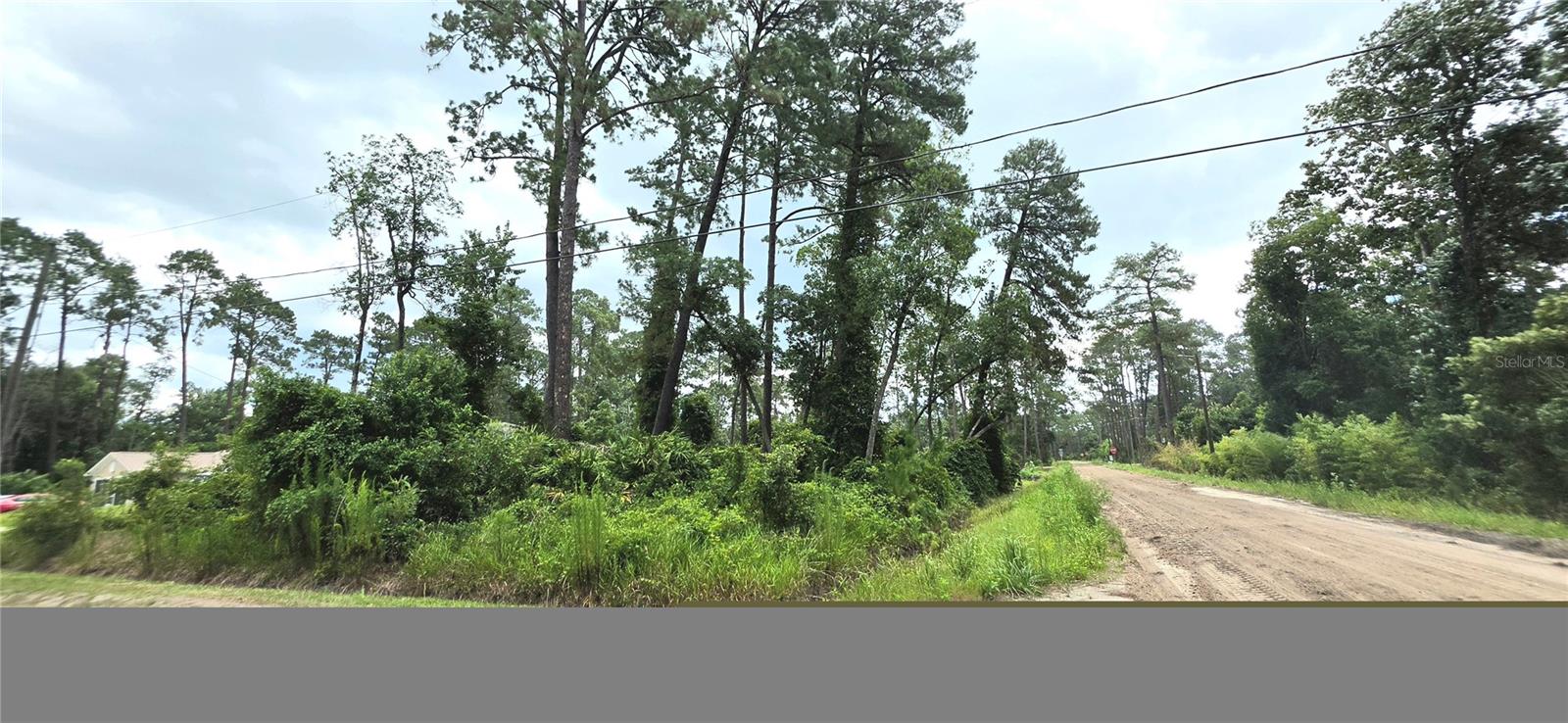 Land in DELAND