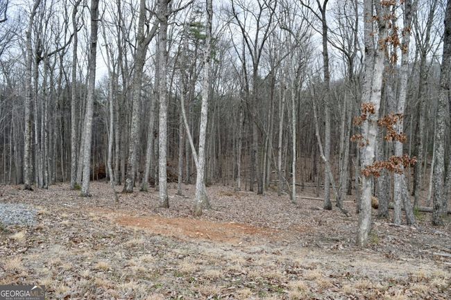LOT 28 High Summit Dr, Home with 0 bedrooms, 0 bathrooms and null parking in Talking Rock GA | Image 12