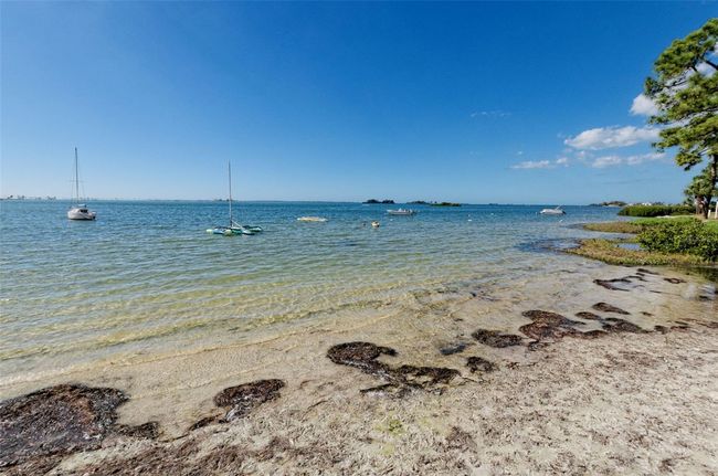 APT-1206 - 2700 Bayshore Blvd, Condo with 2 bedrooms, 1 bathrooms and null parking in DUNEDIN FL | Image 9