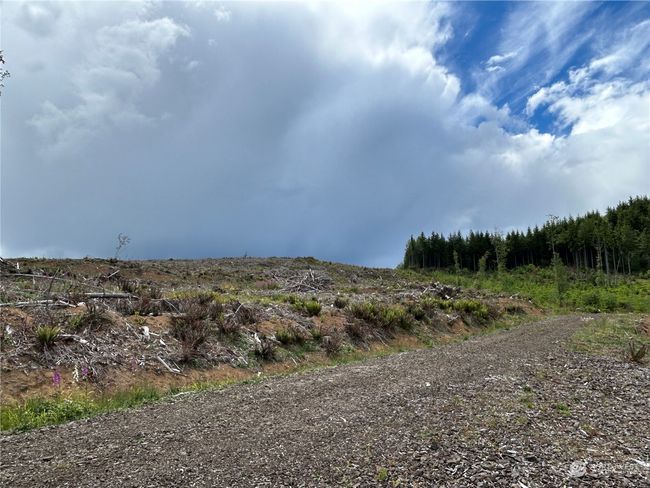 0 NKA 713 Road, Home with 0 bedrooms, 0 bathrooms and null parking in Castle Rock WA | Image 4