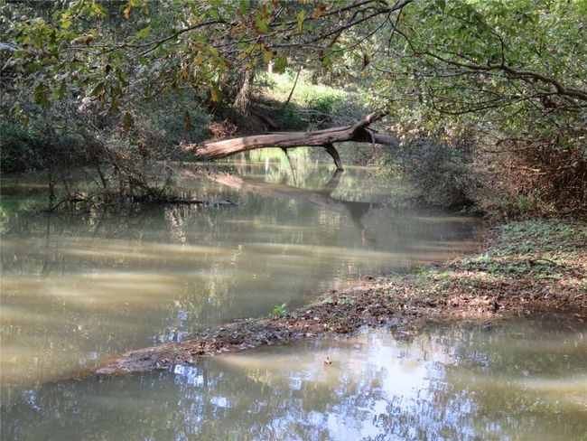9795 S Us Highway 59, Home with 0 bedrooms, 0 bathrooms and null parking in Nacogdoches TX | Image 19