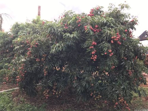 0045-94-1100 Kunia Rd, Waipahu, HI, 96797 | Card Image