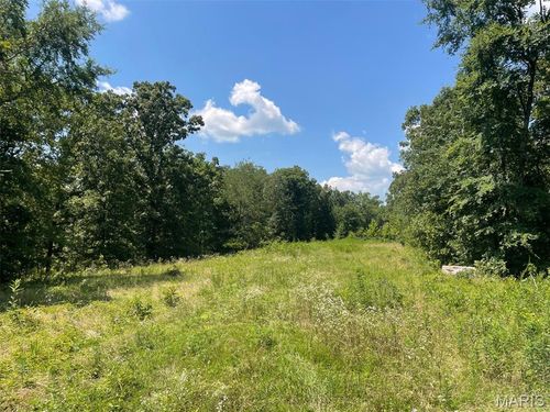 0 County Road 478, Poplar Bluff, MO, 63901 | Card Image