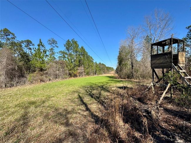 0 Robert White Rd, Home with 0 bedrooms, 0 bathrooms and null parking in Bay Minette AL | Image 29